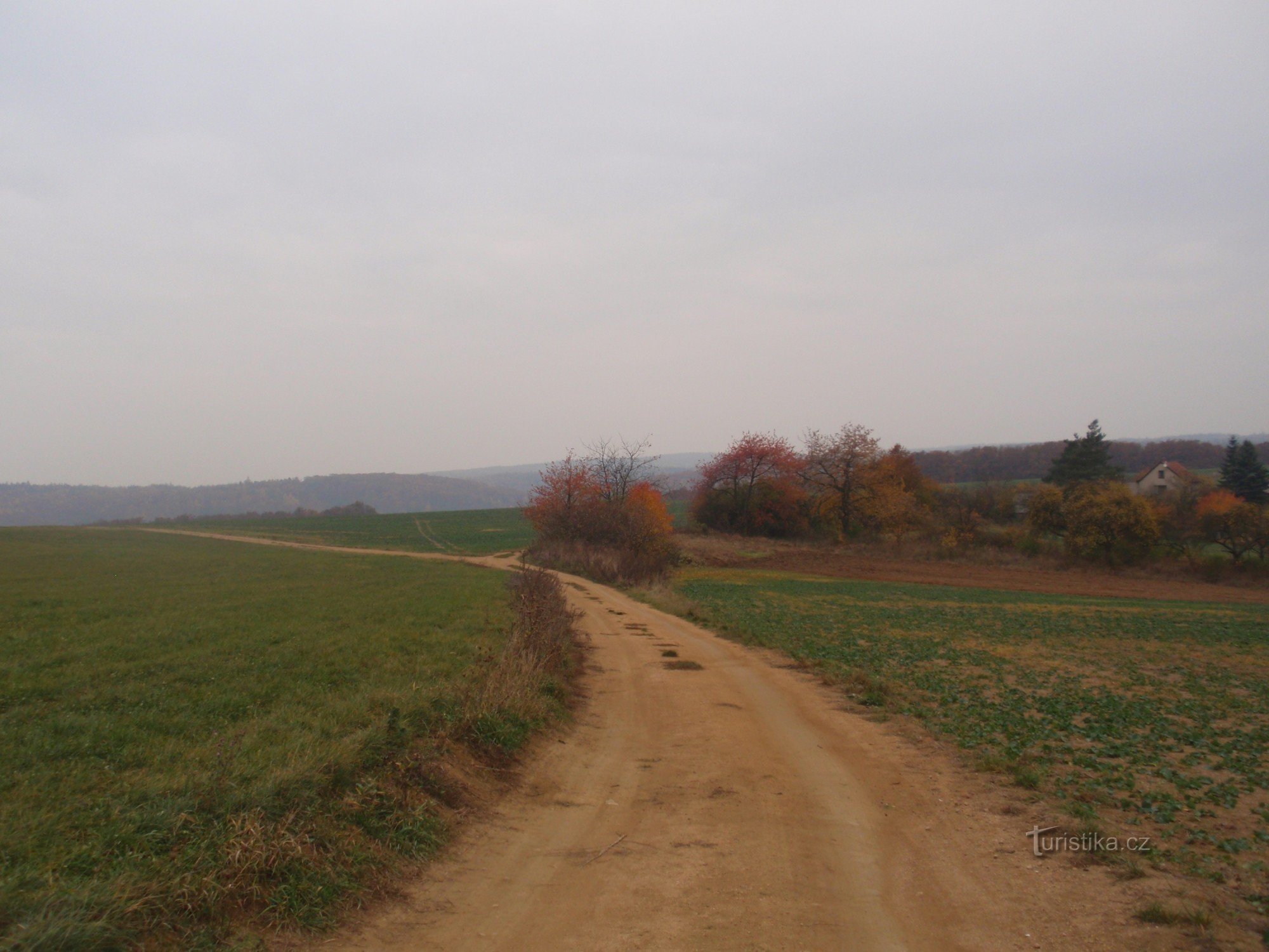 Castor de toamnă drept cu un capăt rotund :)