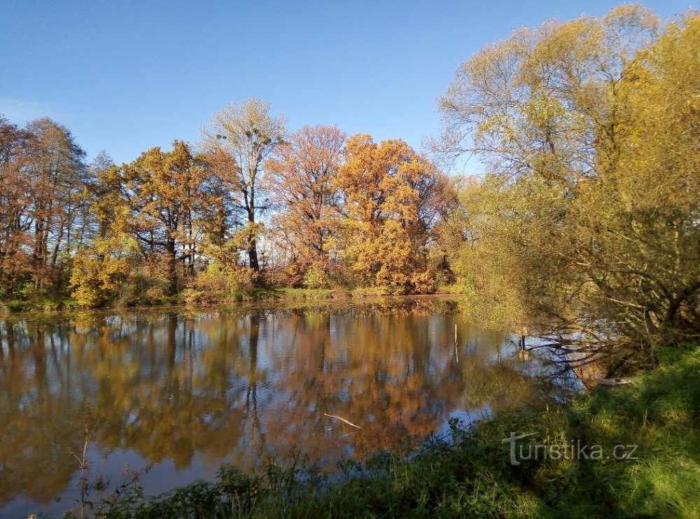 秋天的 Brníčko 和 Šumperk 周围的池塘和五颜六色的树叶