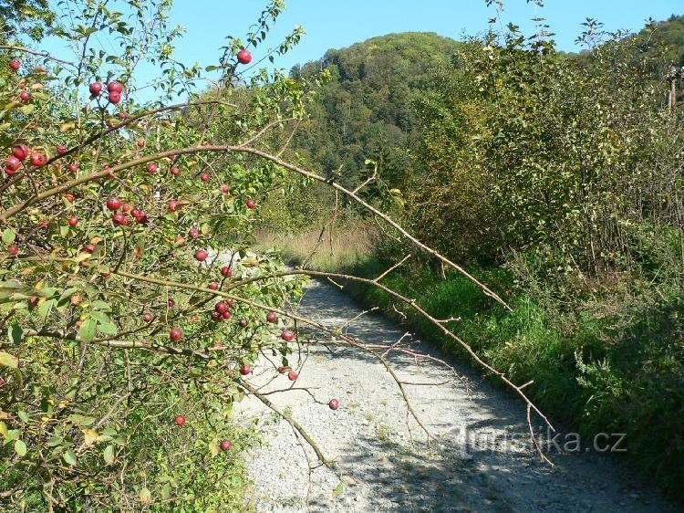 Voyage d'automne à Jívová