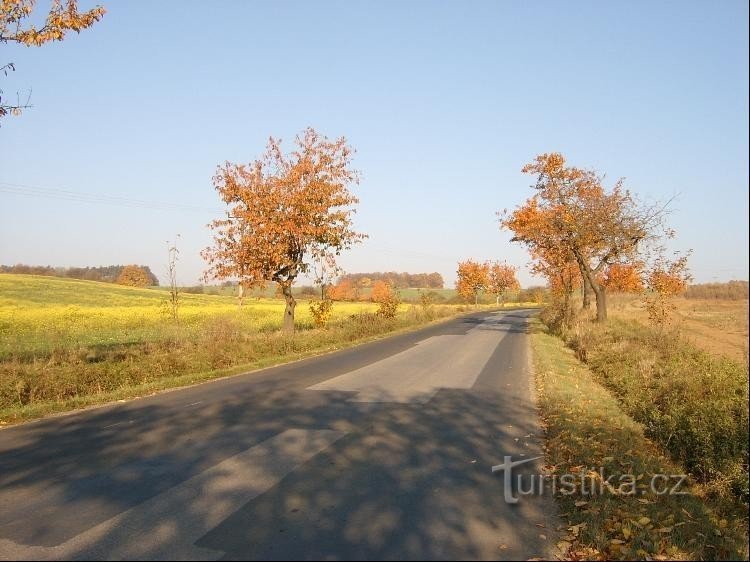 Herbstroute: nördlich von Bubovice