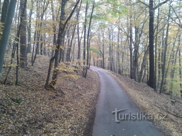 Herbststraße