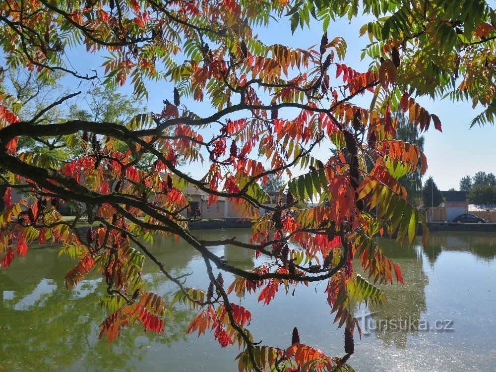 morceau d'automne de la Bohême du Sud