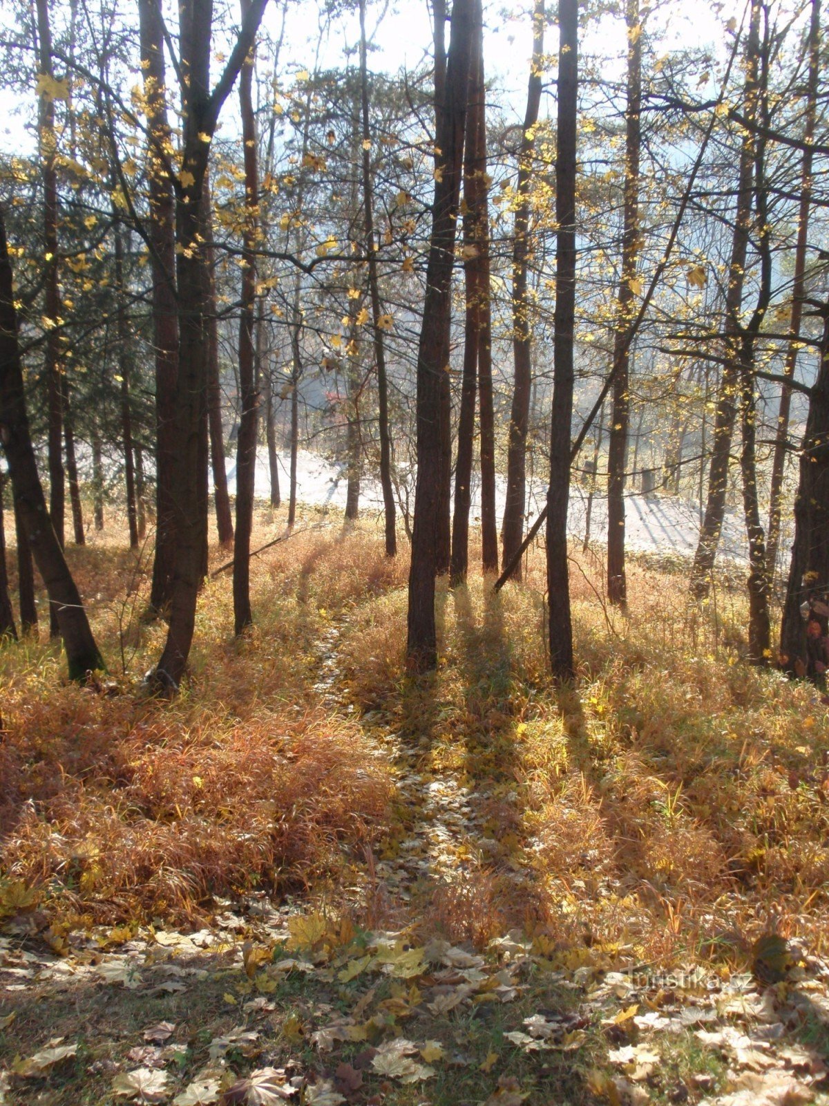 Autumn Macocha je napokon opet slobodan ili od Vilémovica do Blanskog