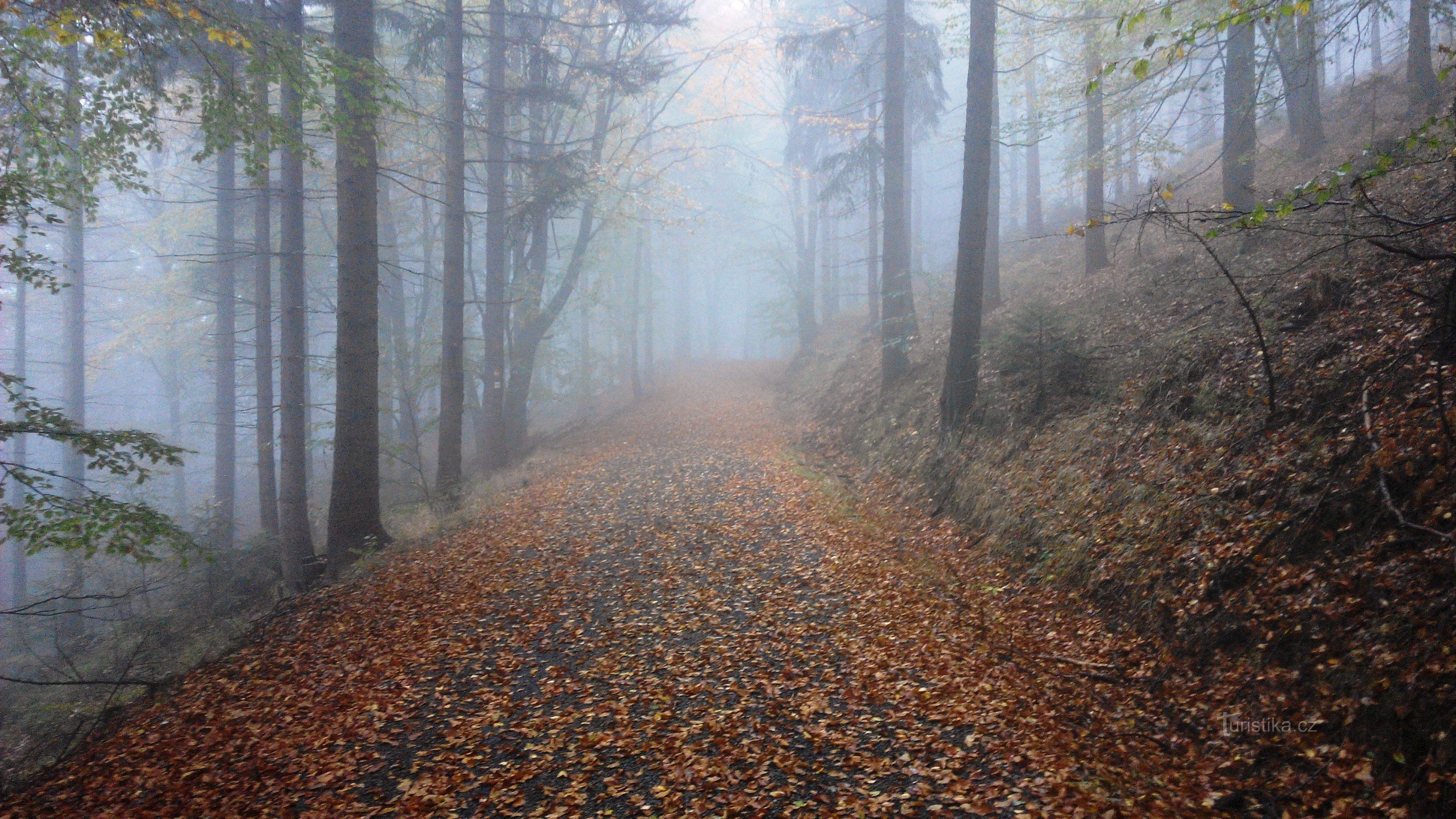 ambiance d'automne dans les montagnes de Lusace