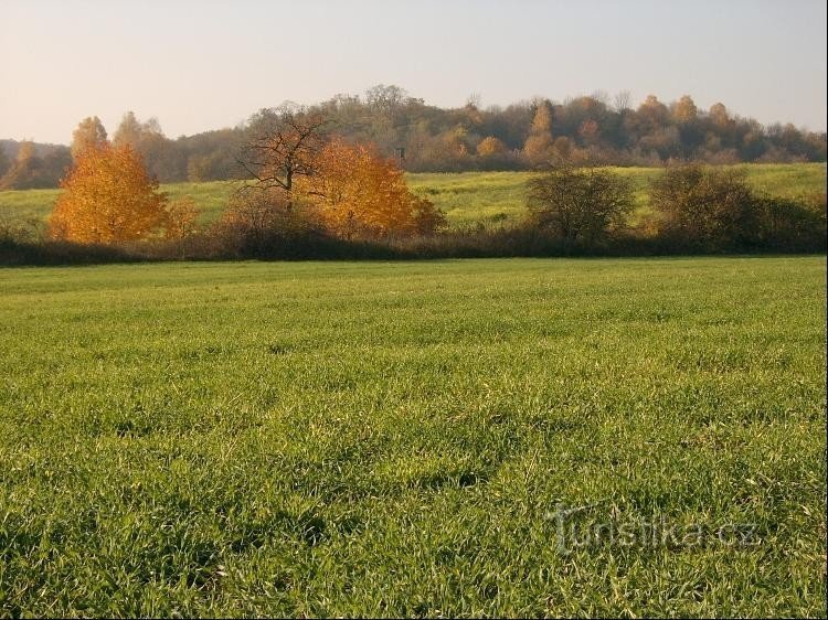 Autumn: area south of Loděnice