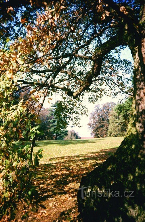 Parcul de toamnă