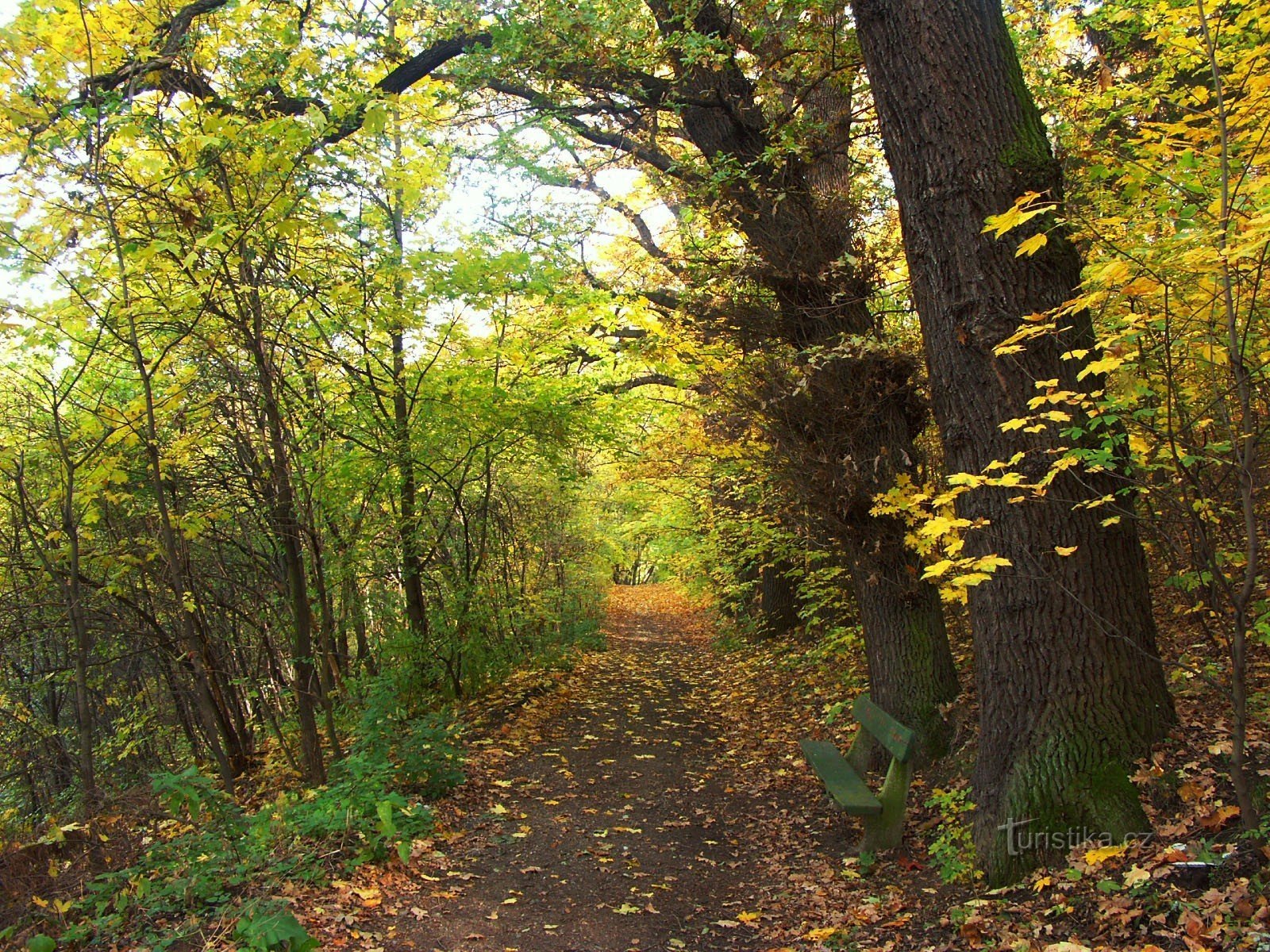 Parco autunnale di Cibulka