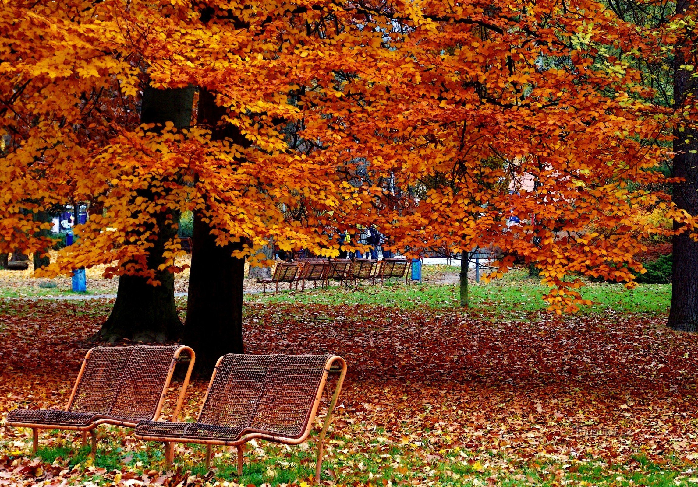 秋季在兹林的夸美纽斯公园散步