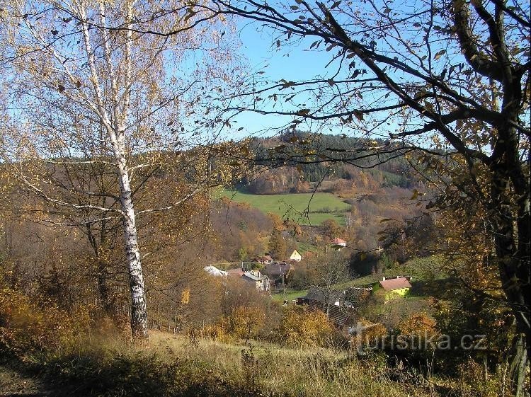 autumn meadow