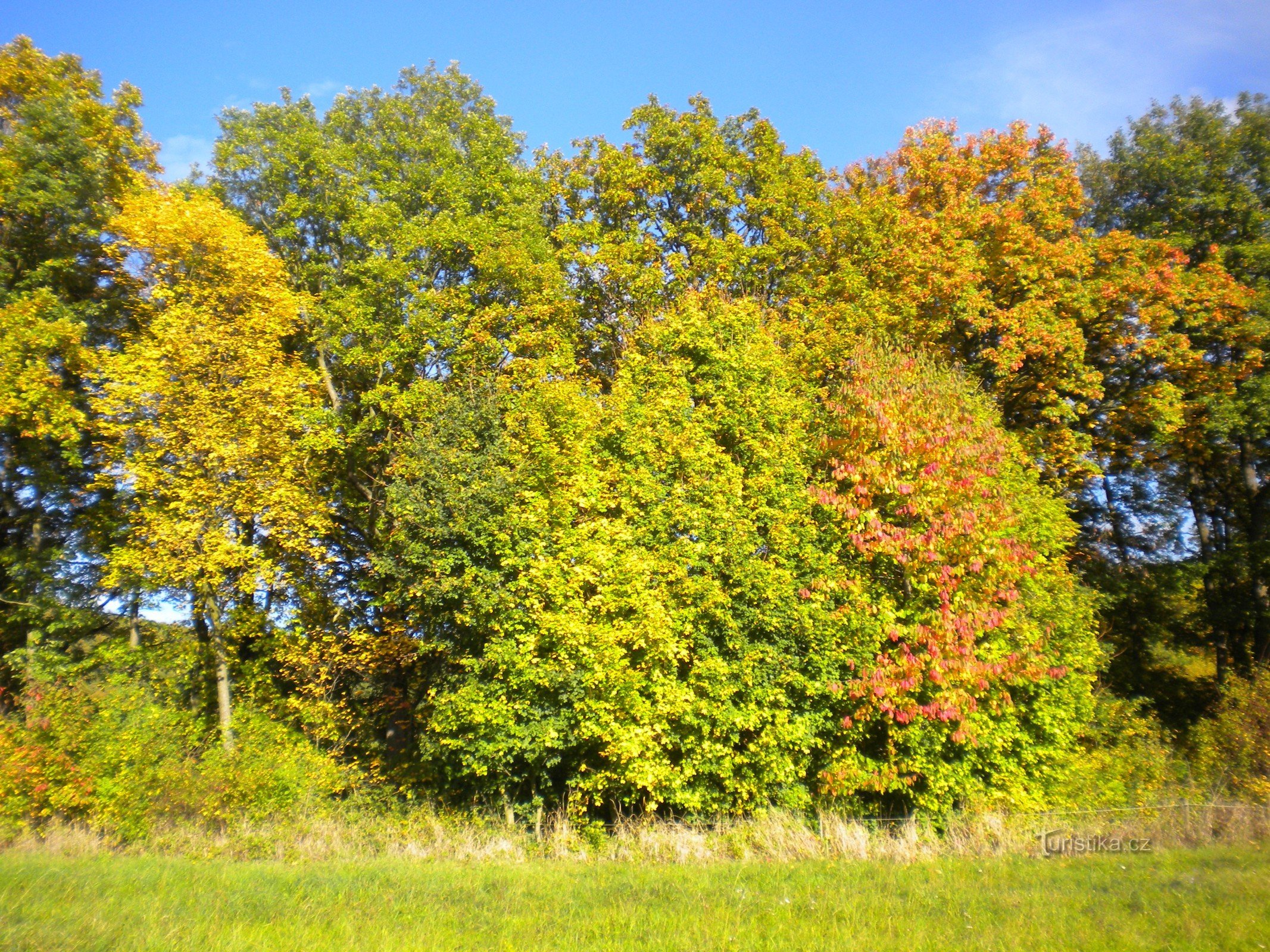 Herbstwanderung entlang der alten Kletečen-Straßen.