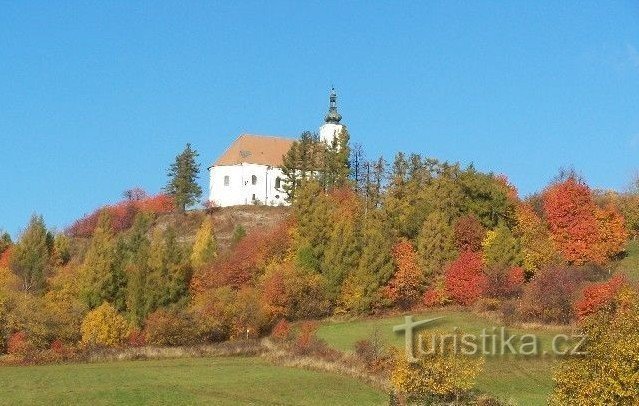 Herfststeenkool