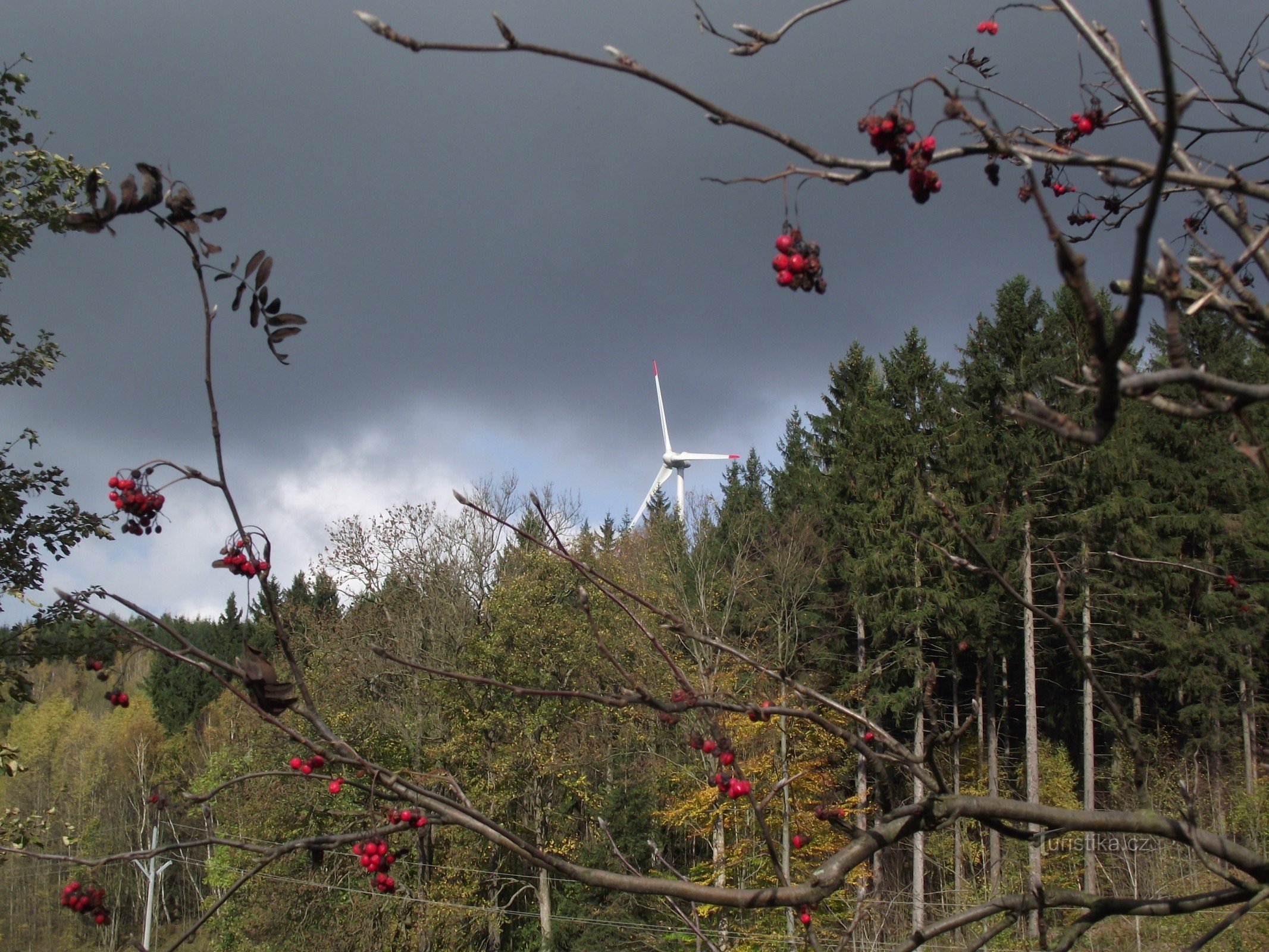 autumn pinwheel for the first time