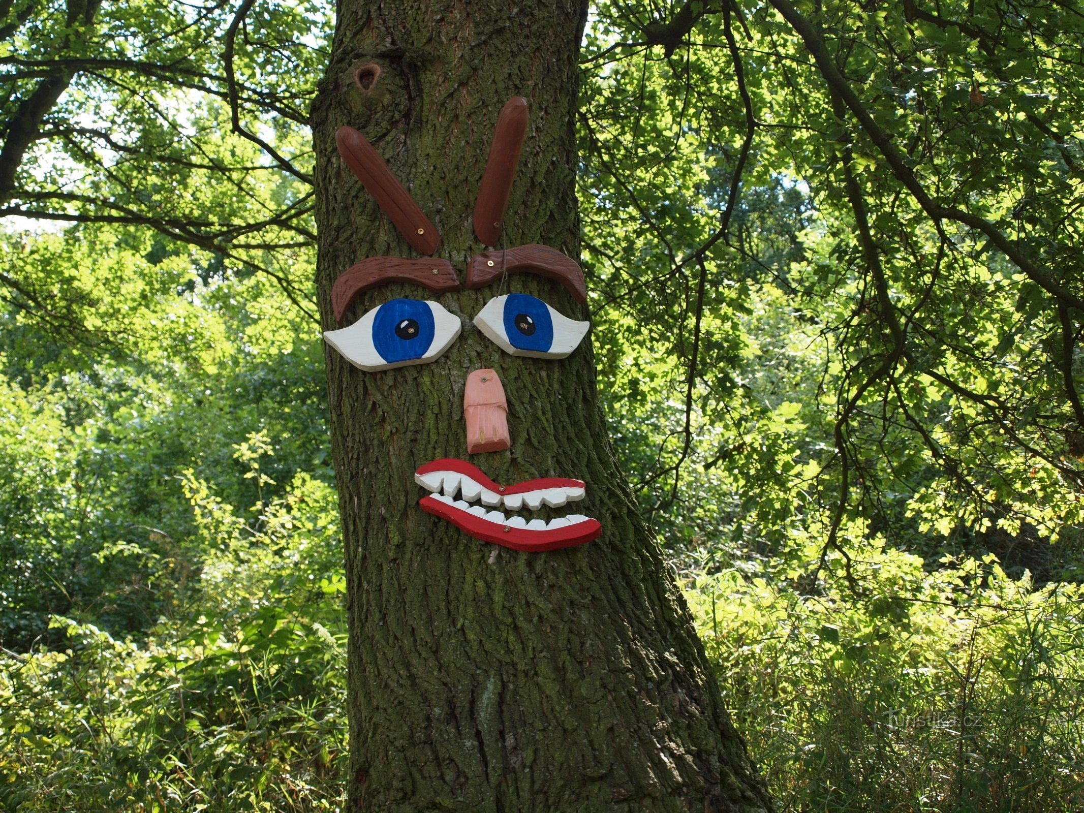 Forêt de conte de fées de Hrobčice.