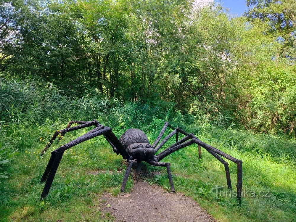 Estanque de cuento de hadas de Pardoubek - Bělohrad Spa