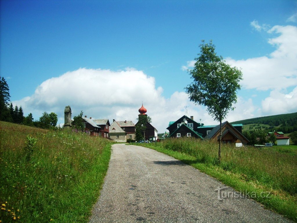 pogląd