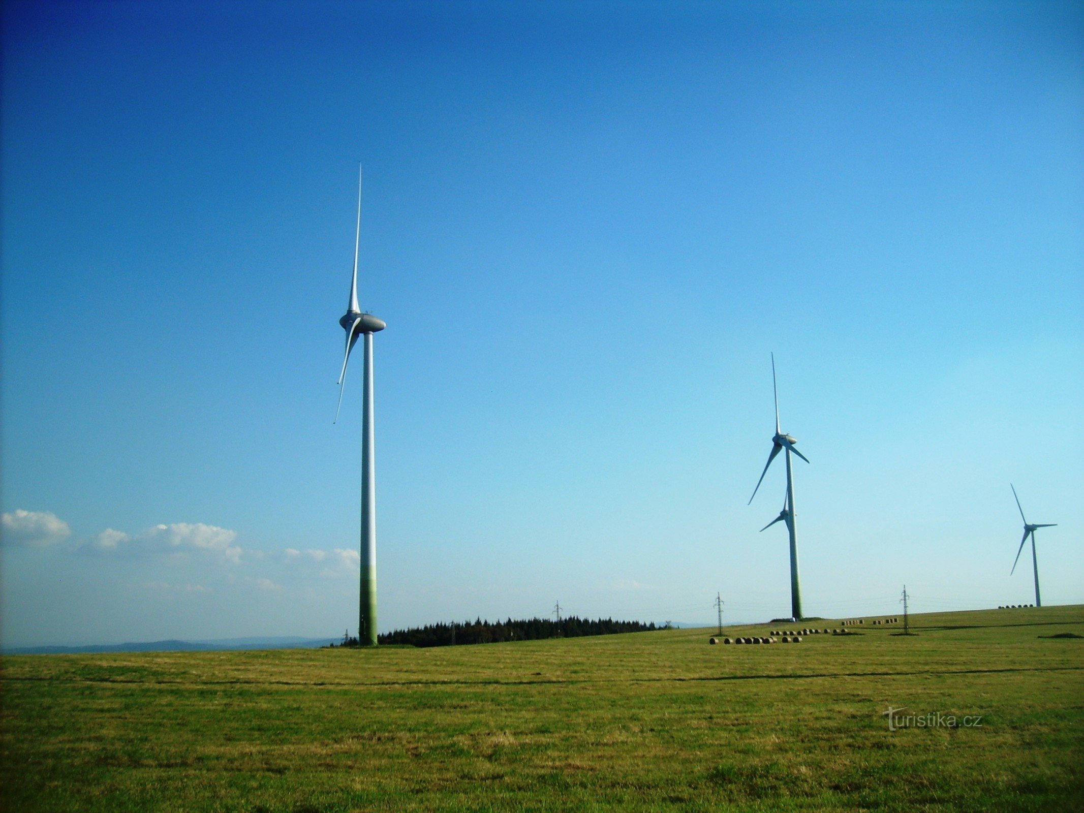 vue d'une partie du parc éolien