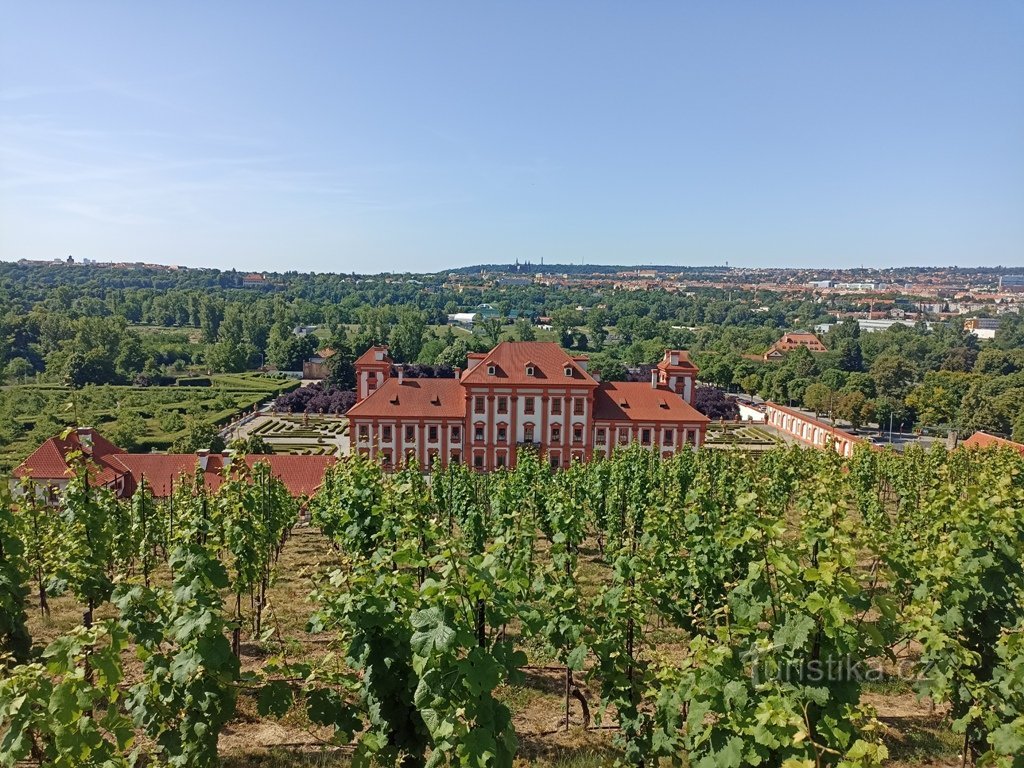 Blick vom Botanischen Garten auf Trojský zámok