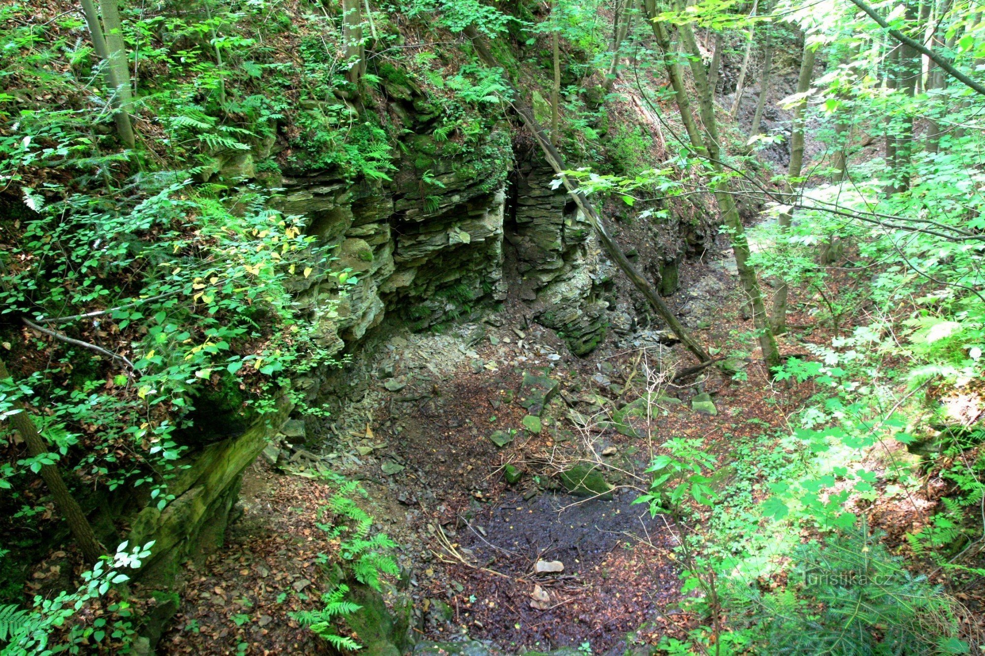 Uma vista do Devil's Ravine da passarela no marcador verde