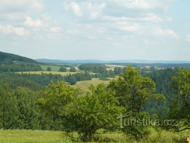 Una vista de los alrededores