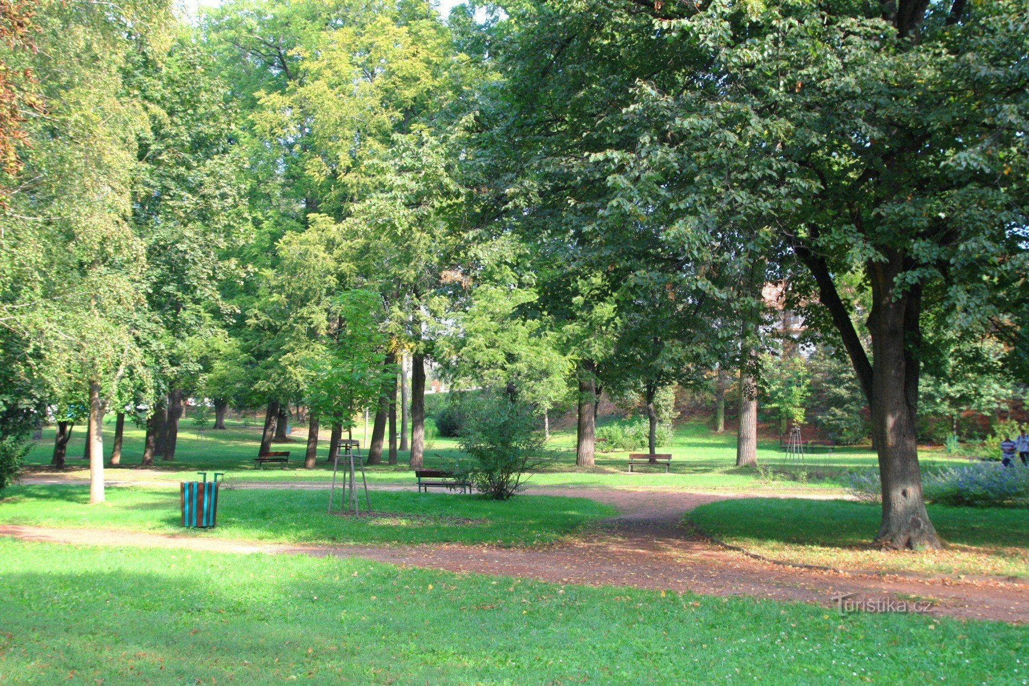 Uitzicht op het park