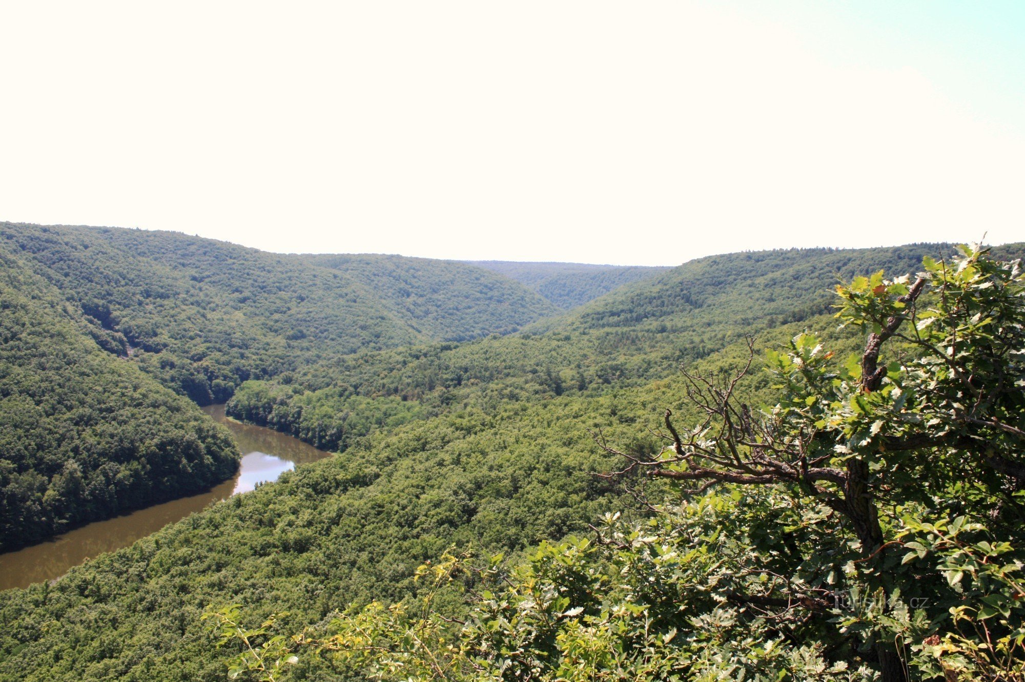 Vista do vale Dyje em direção a Býčí skále