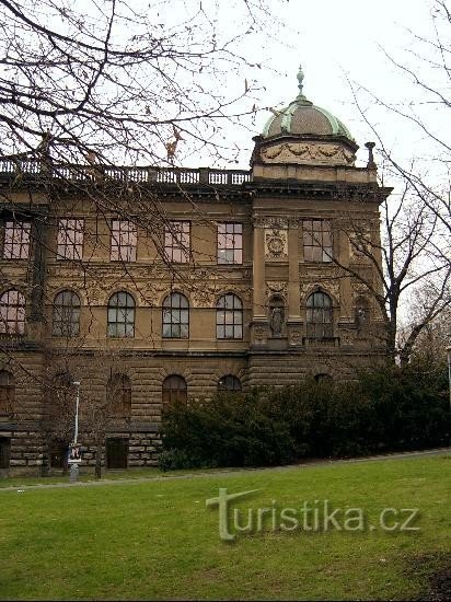 View to the Museum