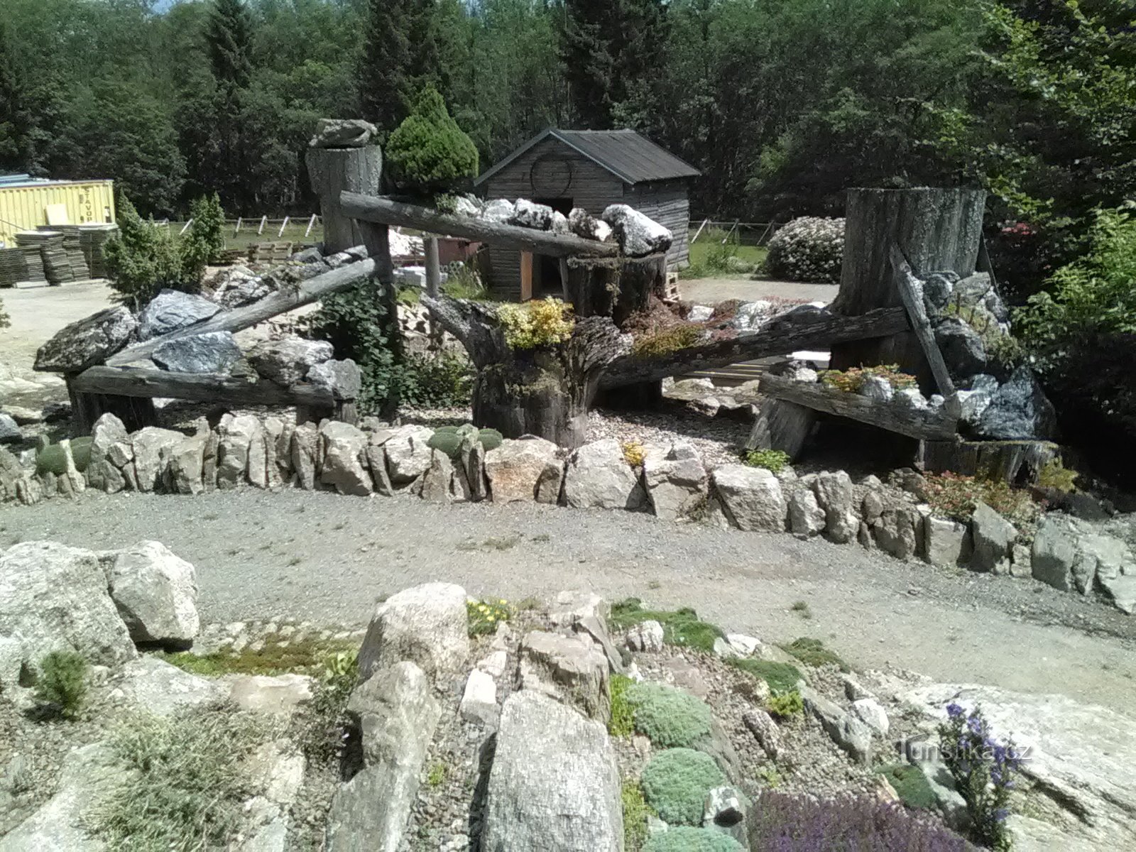 A view of the bison enclosure