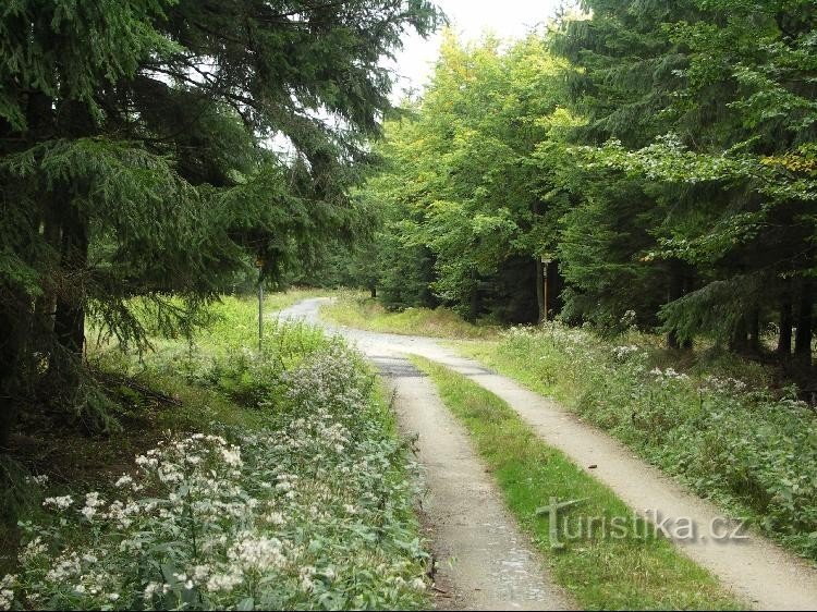 Widok na drogowskaz ze Slunečná