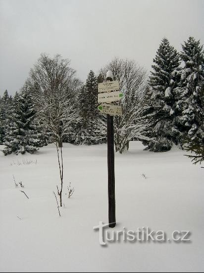 Uitzicht naar het noorden