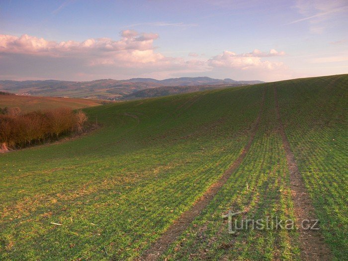 View of the Vizovice Hills