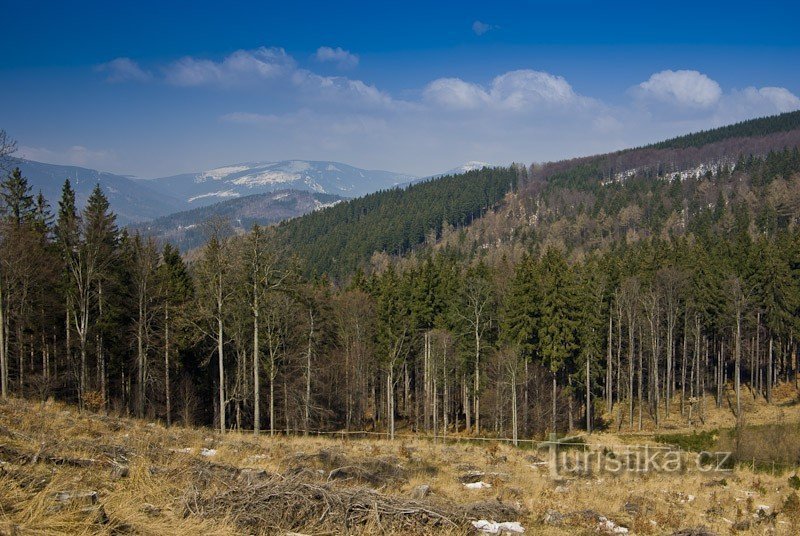 Вид на Возко и Червену гору