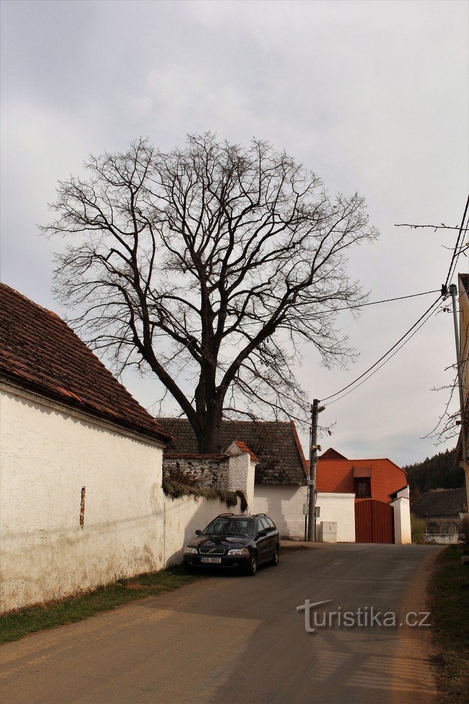 Blick auf die Kapelle von Süden