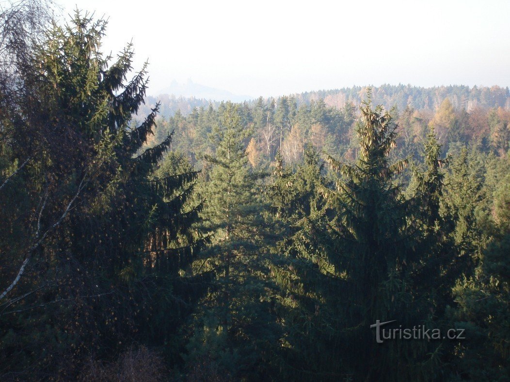 Blick auf die Ruinen