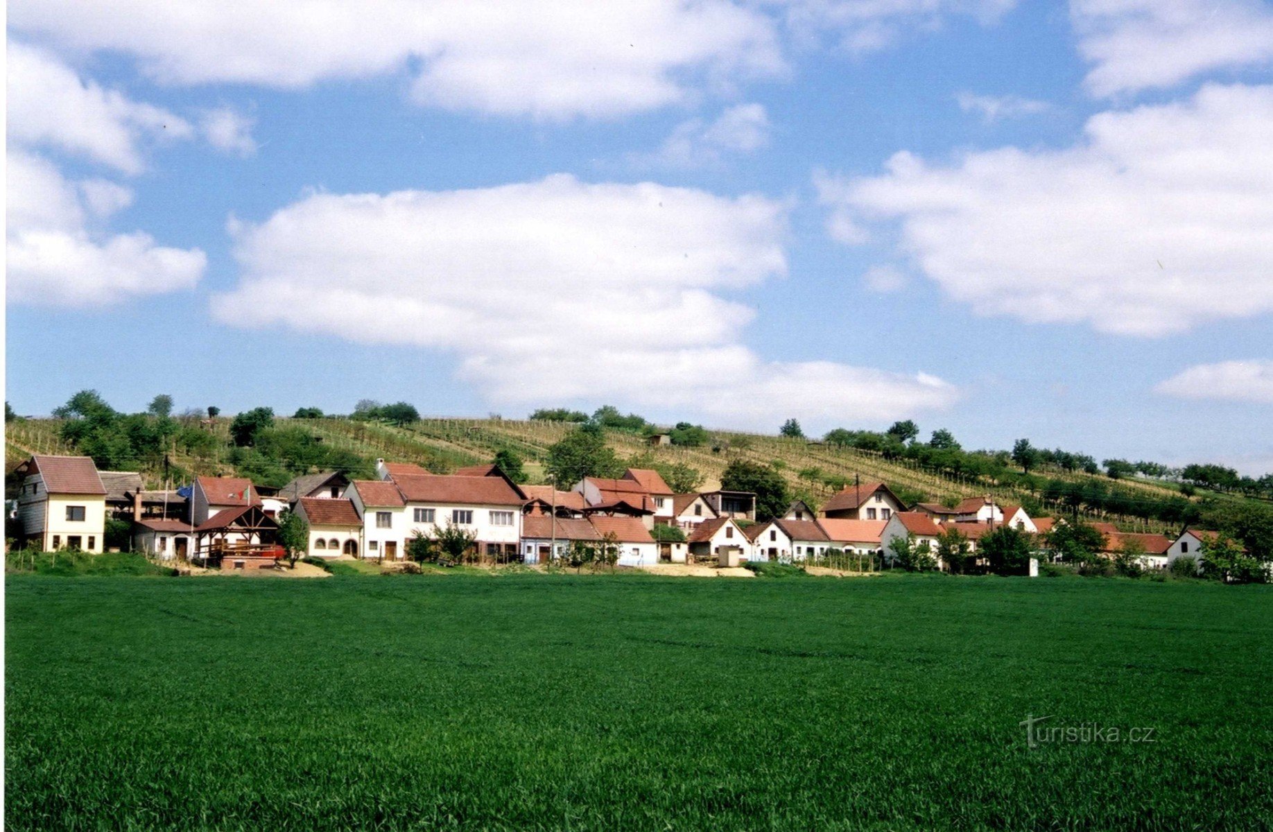 Uitzicht op het gebied van Kravihorské-kelders
