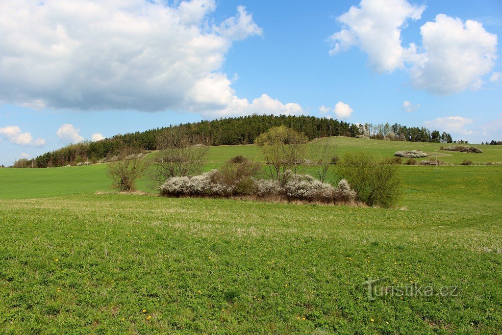Vue de Bubečná depuis le sud