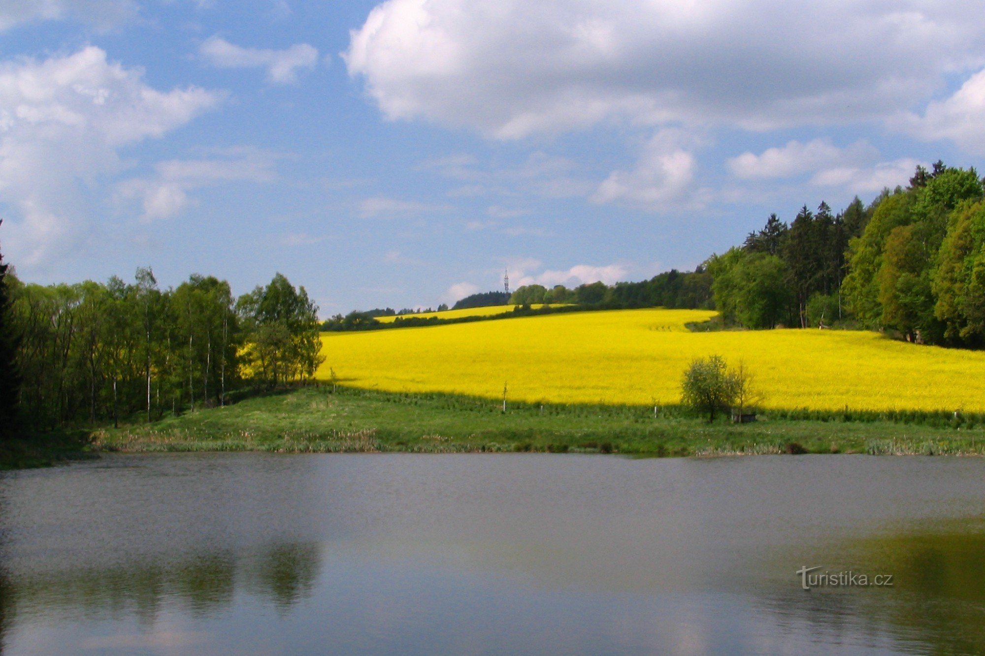 Veduta di Divišovské Vrchy (532 m slm)