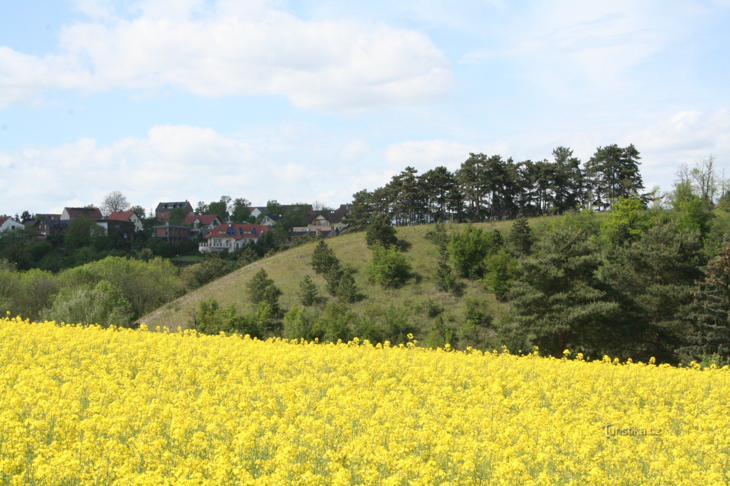 View of Drbec from the south