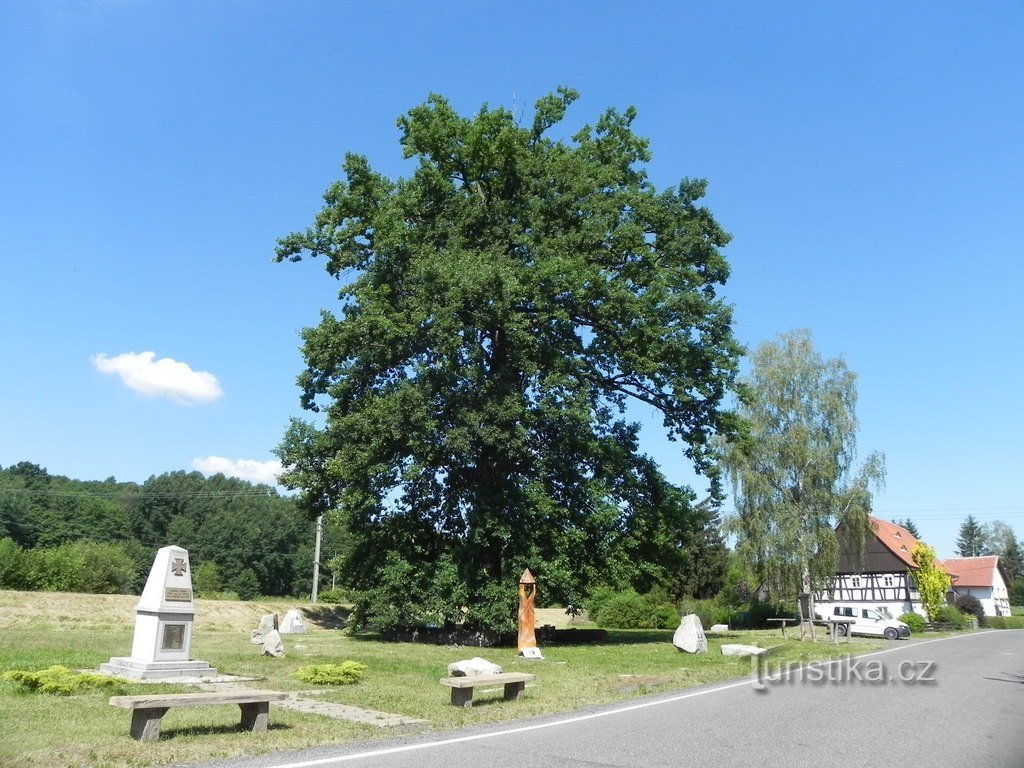 Uitzicht op de eik vanaf de weg