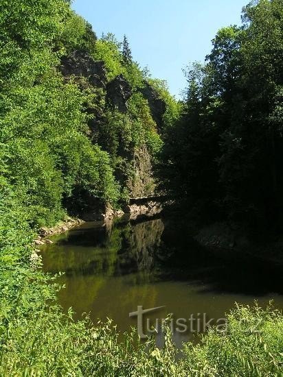 view of the gallery from the weir