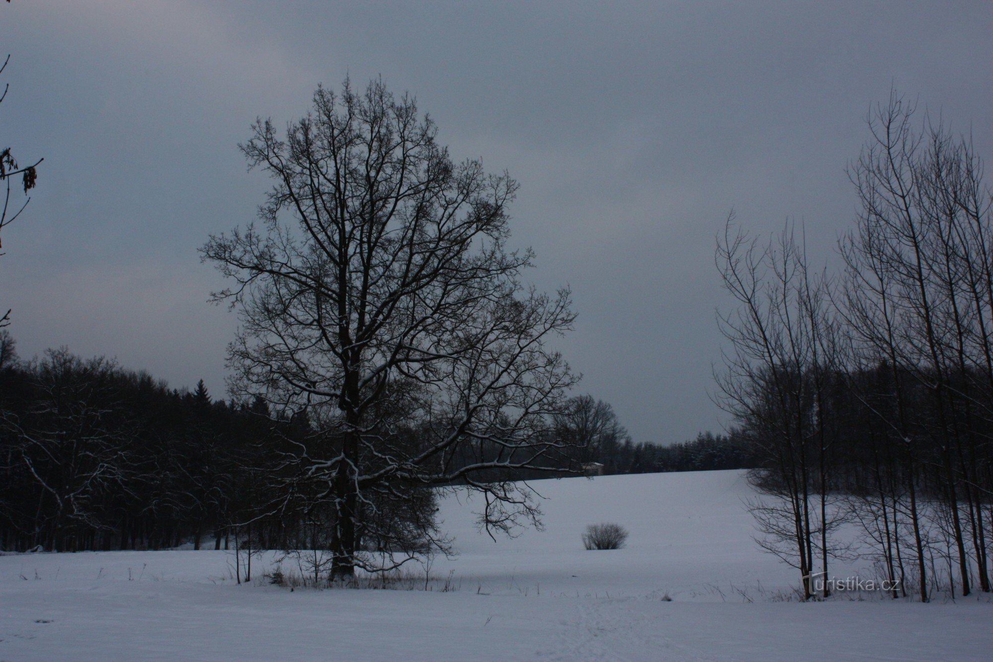 Näkymä linnapuiston gloriettelle