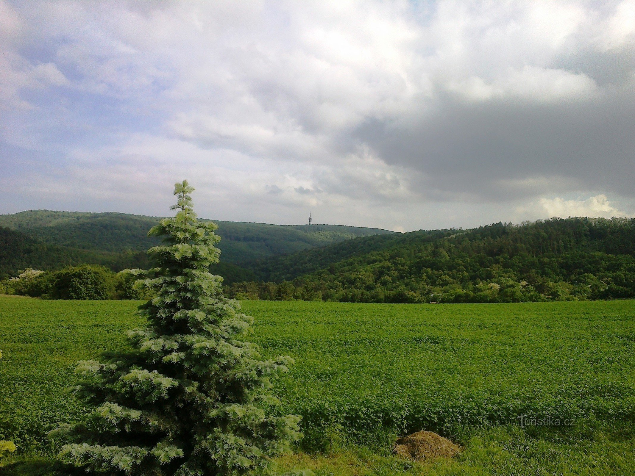 View of Hády from Bílovice