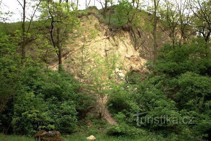 Pohled na hlavní skalní stěnu na Kobylské skále