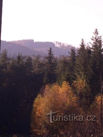 Vue de Holý vrch depuis Ostružná