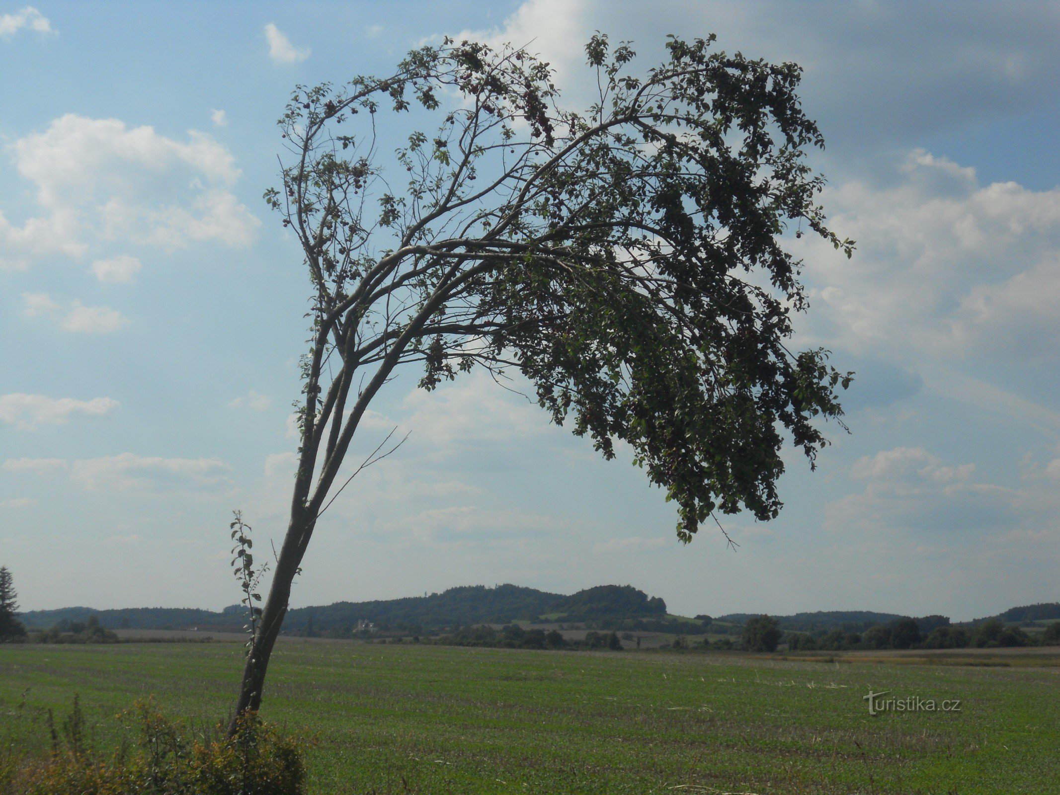 Ansicht von Houser Sv. Anne.