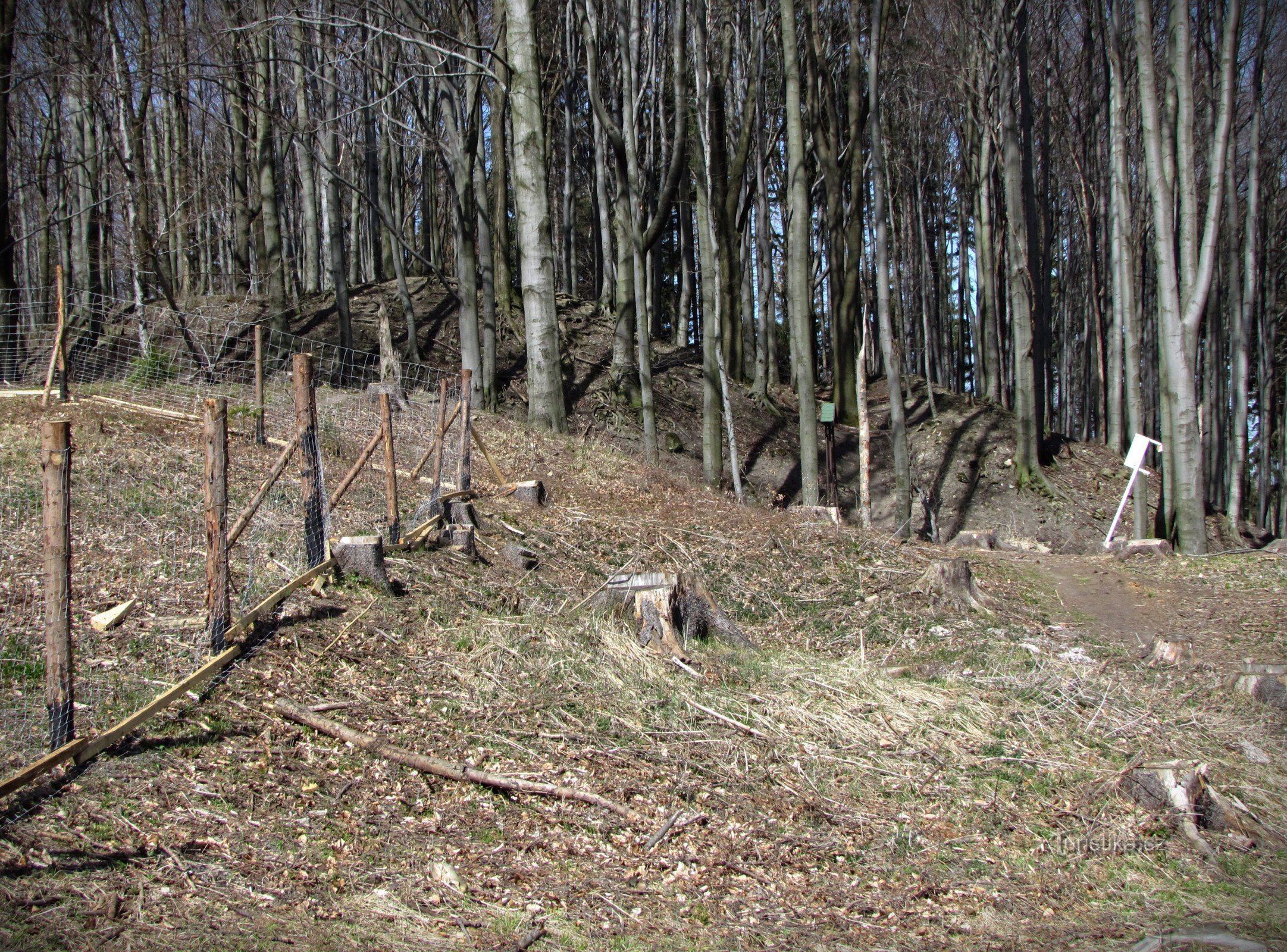 view of the castle