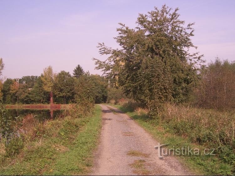 Blick auf den Damm zwischen den Teichen Horní und Dolní Polom