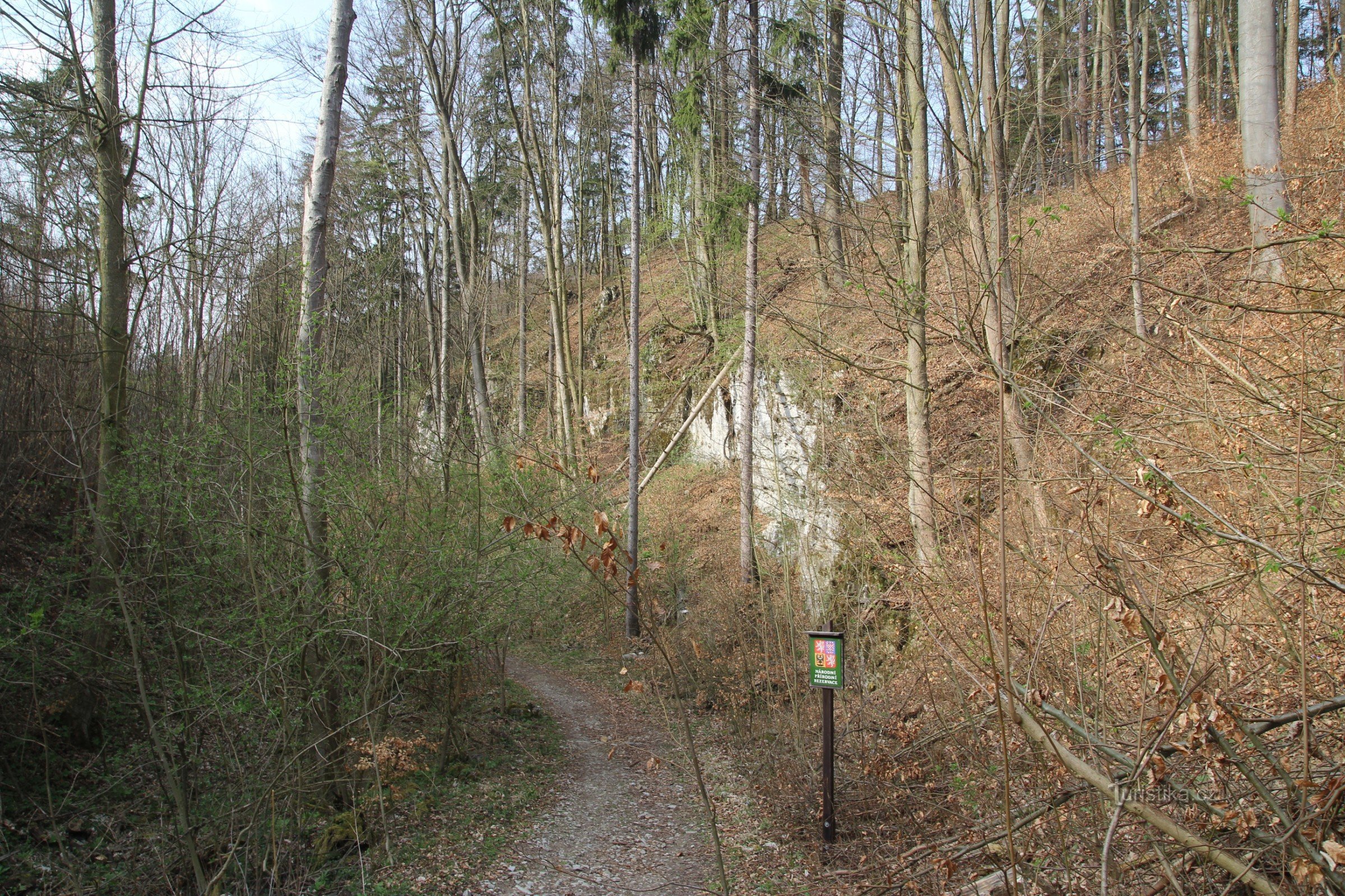 Vue sur la crête du château depuis la vallée de Vaječník