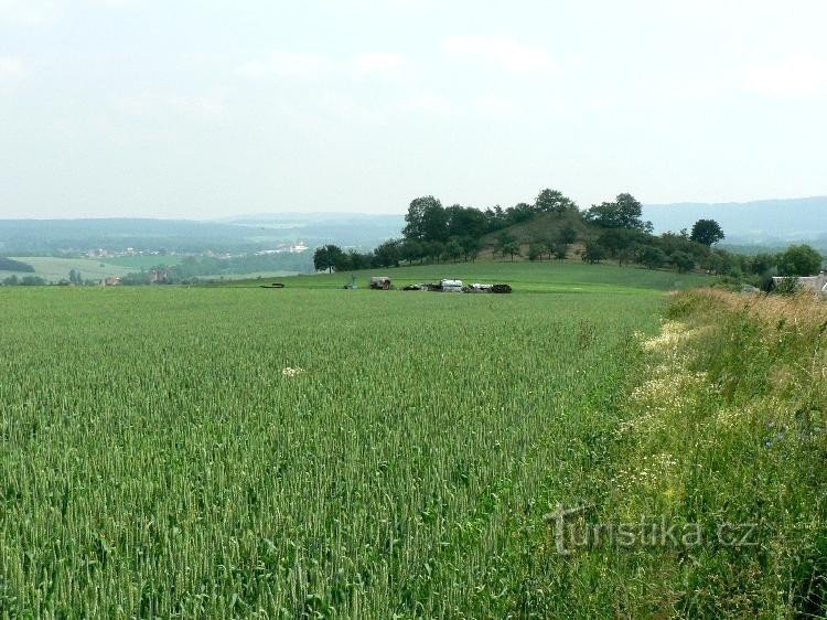 Pogled na Hřídelecká Hůra: Pogled s S. Očitna oblika vulkana. stožci. Zadaj levo