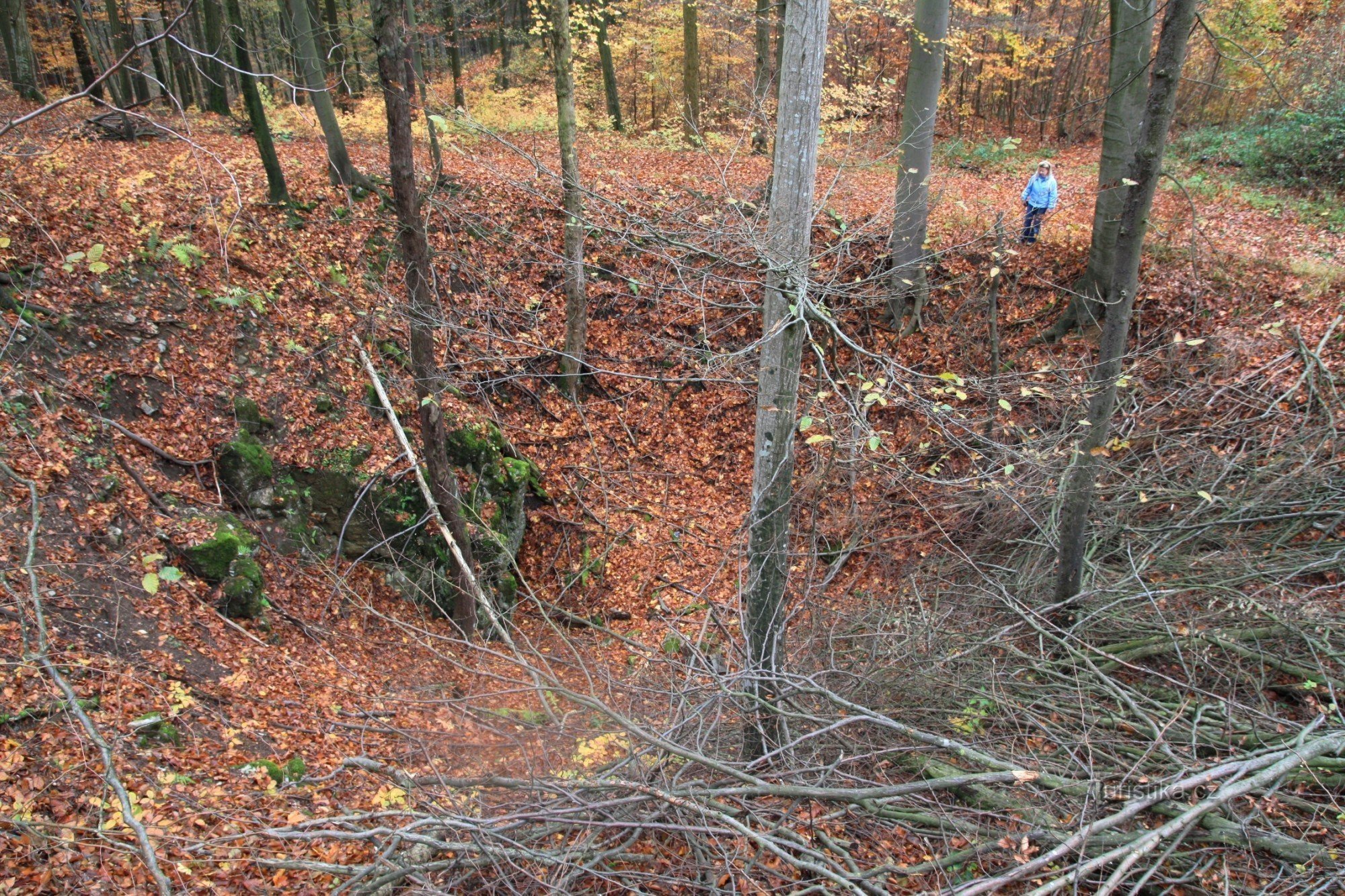 Ein Blick auf eines der Dolinen