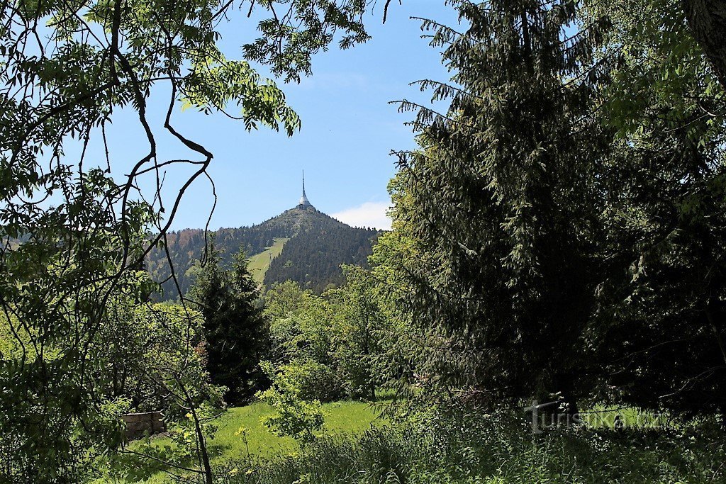 Blick auf Ještěd von Horní Hanychov